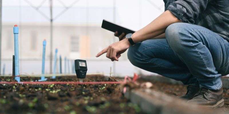 A soil pH tester inserted into the garden soil with someone kneeling beside it with an iPad