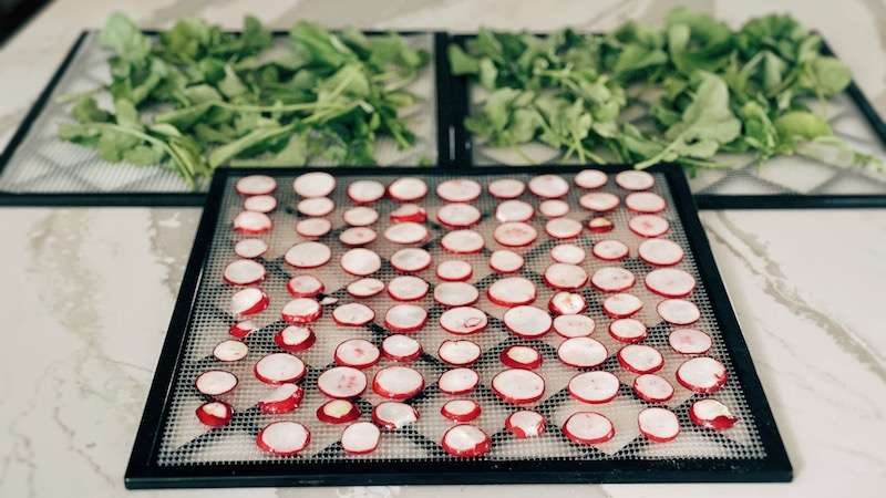 Sliced radishes and radish greens on dehydrator trays